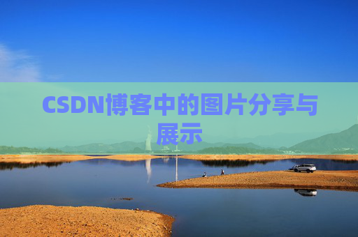 CSDN博客中的图片分享与展示